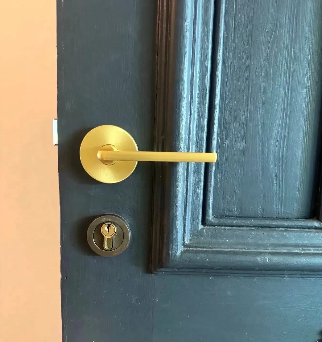 A brushed brass lever on a round rose and a euro cylinder below it, fitted to a black-painted panelled timber door